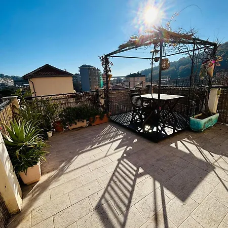 La Loba House Apartment